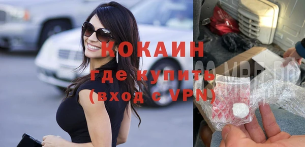 стаф Алзамай