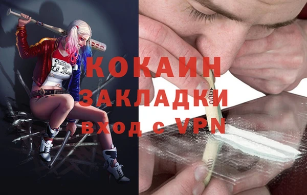 стаф Алзамай