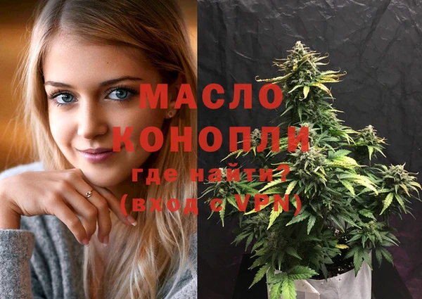 молекула духа Переславль-Залесский