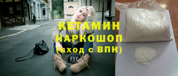 стаф Алзамай