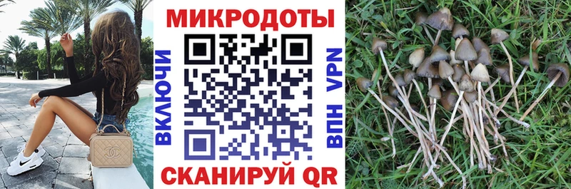 Галлюциногенные грибы Cubensis  гидра ТОР  это Telegram  Западная Двина 